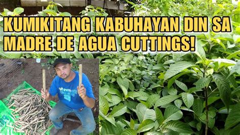 kumikitang kabuhayan|Kumikitang Kabuhayan .